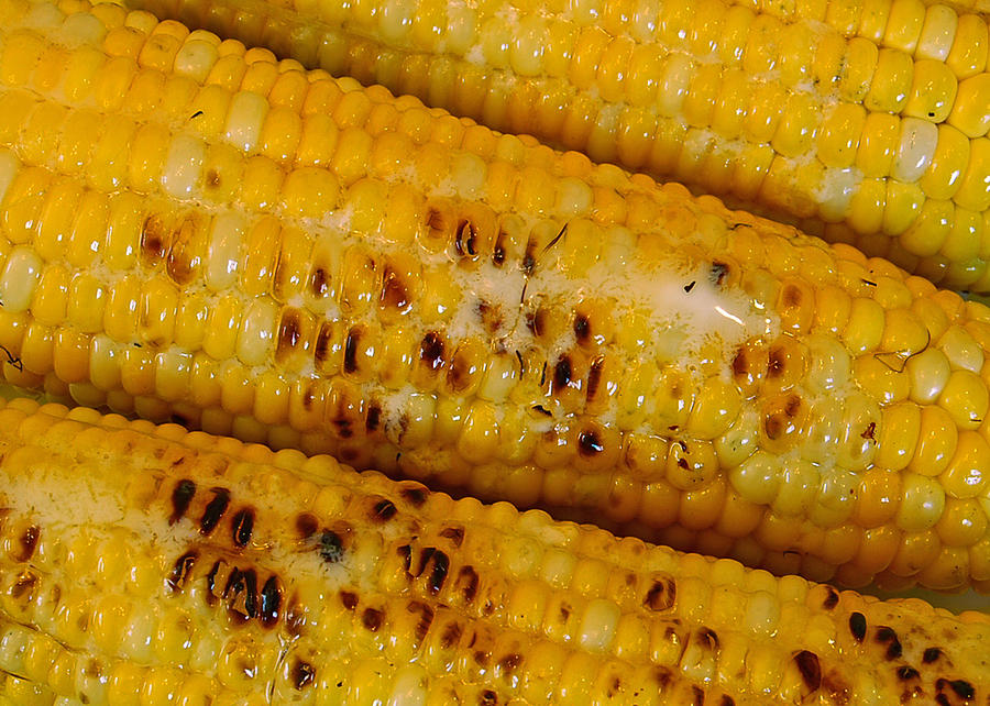 Grilled Corn Photograph by Michael Peychich