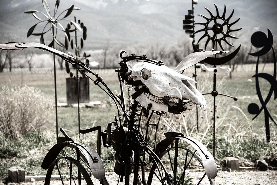 Grim Reaper Rides Again Photograph by Steven Bateson