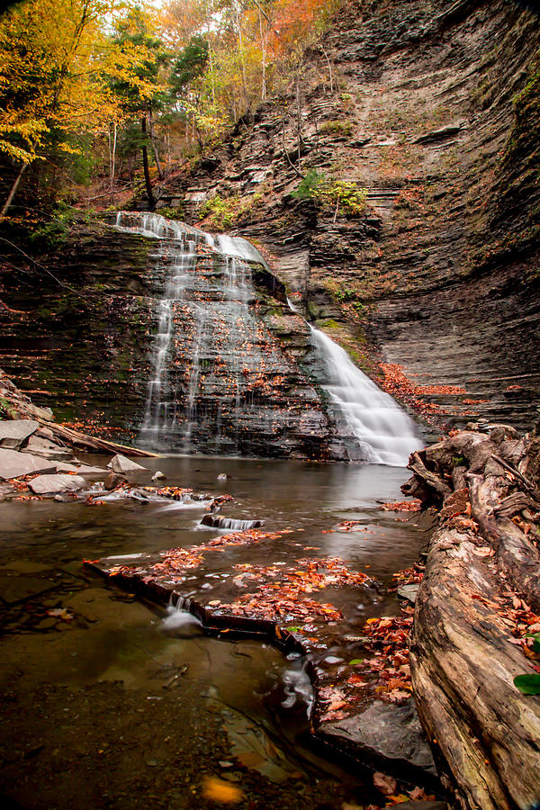 Grimes Glen Photograph by Gary Fossaceca