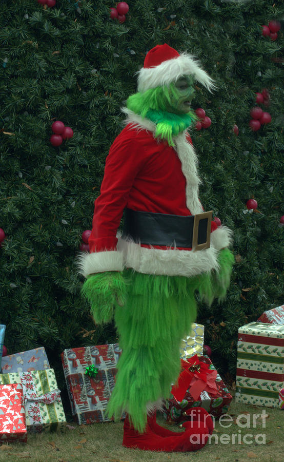 Grinch Christmas Photograph by Donna Brown