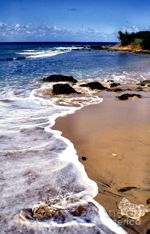 Gringo Beach Photograph