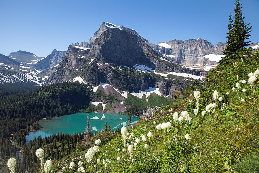 Grinnell Lake with Beargrass Photograph by Jack Bell
