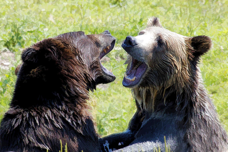 Grizzlies At Play II Photograph by Athena Mckinzie