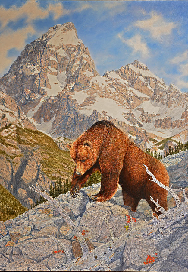 Grizzly after moths Painting by John Lovewell - Fine Art America