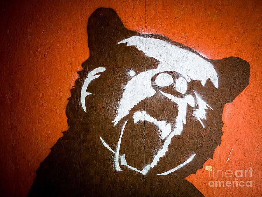 Bear Photograph - Grizzly Bear Graffiti by Edward Fielding