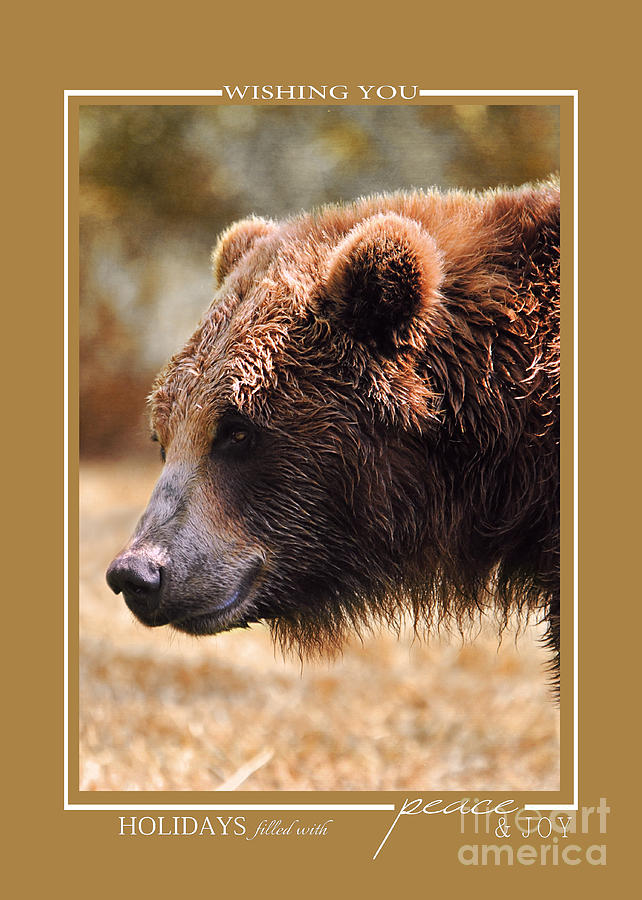 Grizzly Bear Wildlife Christmas Cards Photograph by Jai Johnson