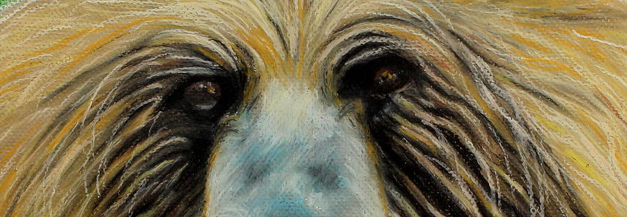 Wildlife Painting - Grizzly Eyes by Jeanne Fischer