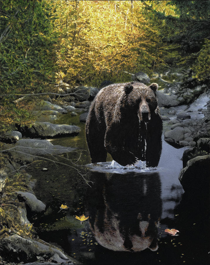 Grizzly Reflection Drawing by Brent Ander