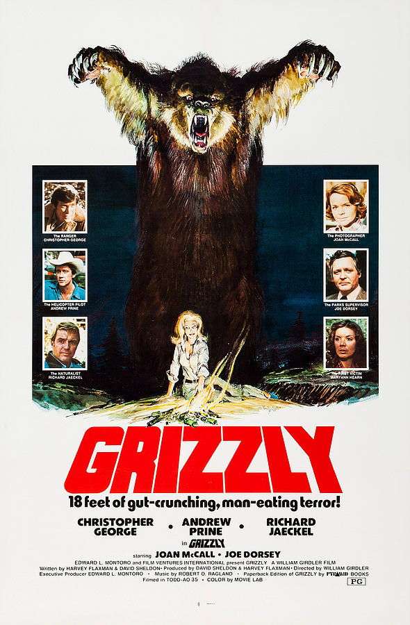 Movie Photograph - Grizzly, Us Poster, Left From Top by Everett