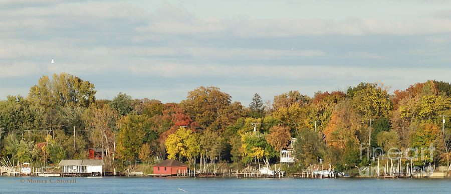 Island Fall Colors - M Landscapes Fall Collection No. LF38 Photograph by Monica C Stovall