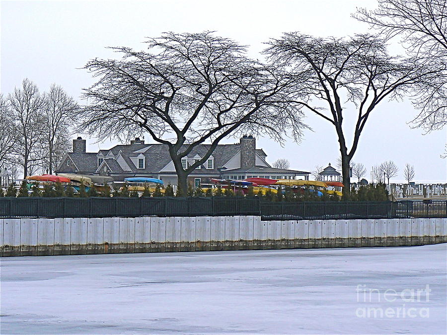 Tree Photograph - Grosse Pointe Pier Park by Dona  Dugay