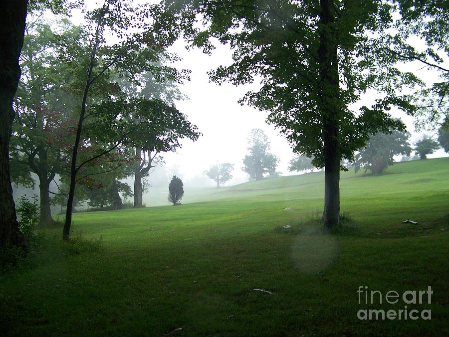 Grossinger Golf Course Rainy Day Photograph by Kevin Croitz