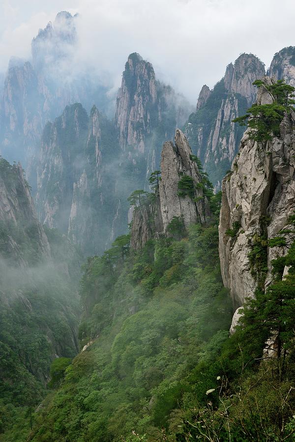 Grotesque Rocks On Foggy Mt. Huangshan Photograph by Lijuan Guo Photography