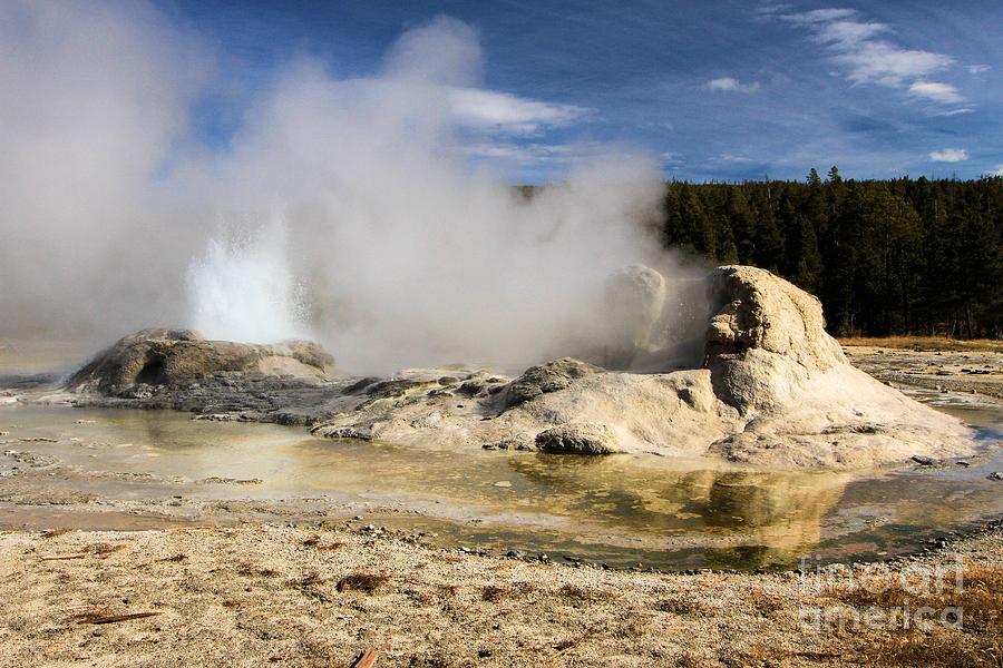 Grotto Geyser Photograph by Adam Jewell