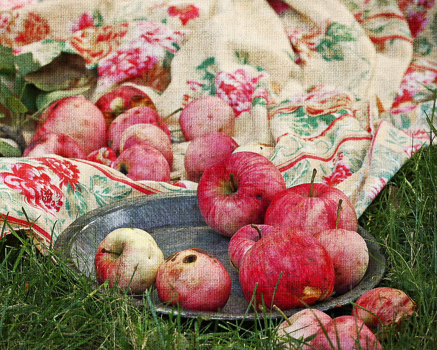 Apple Photograph - Ground Apples by Ness Welham