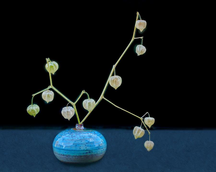 Vase Photograph - Ground Cherry Still Life by Nikolyn McDonald