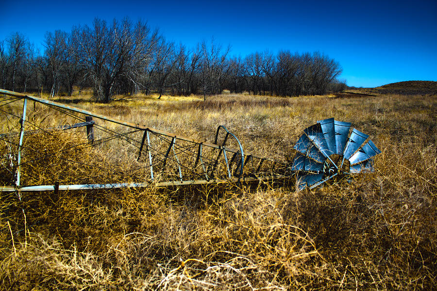 Fall Photograph - Grounded-HDR by Shane Bechler