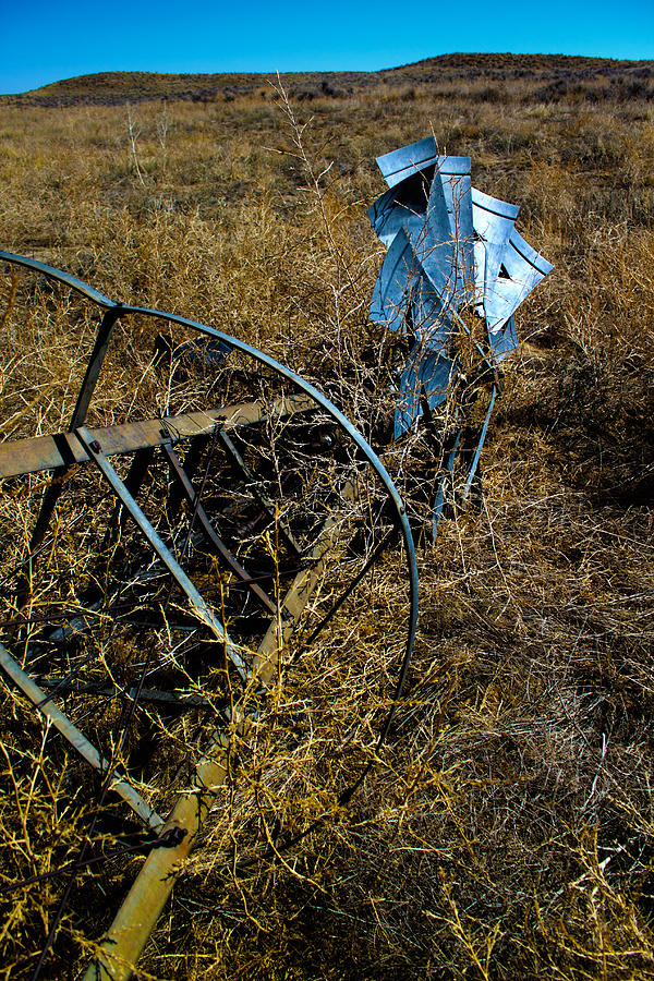 Fall Photograph - Grounded2-HDR by Shane Bechler