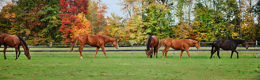 Group Activity by Kristi Swift Group Activity by Kristi Swift