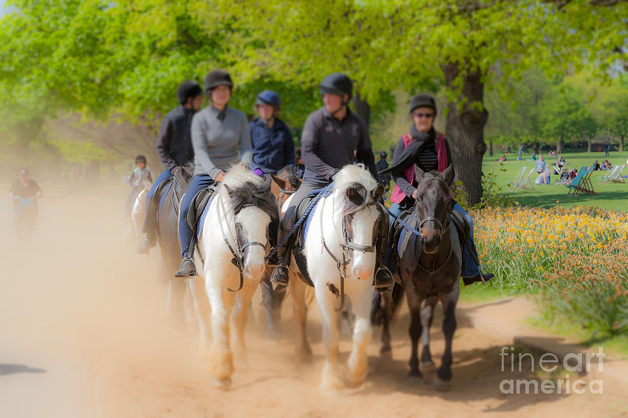 Group of horse riders kicking up dust on the Hyde Park Bridle Wa Photograph by Peter Noyce