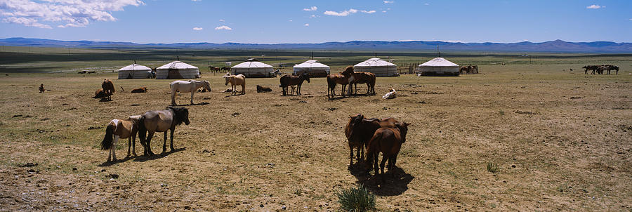 Architecture Photograph - Group Of Horses And Yurts In A Field by Panoramic Images