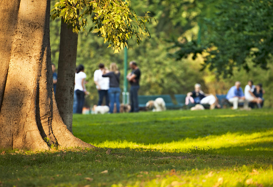 Group of people relaxing among trees in city park. Photograph by Spooh