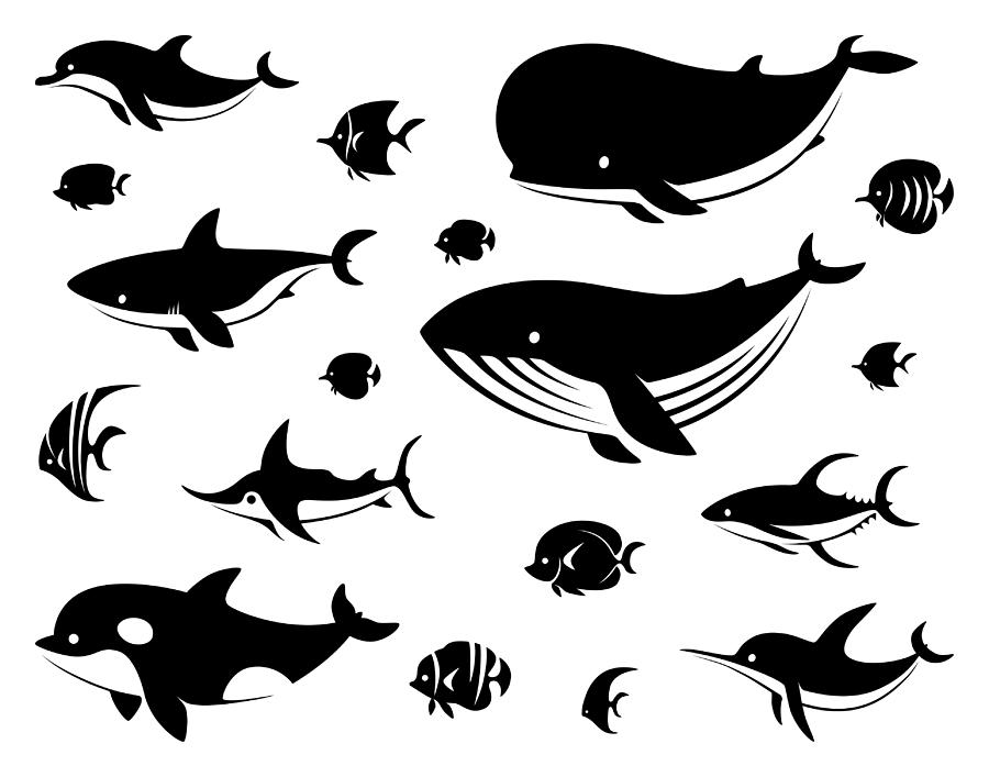 Group Of Sea Creatures Silhouette Drawing by Id-work