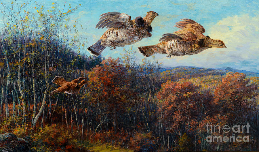 Nature Painting - Grouse in Flight by Celestial Images