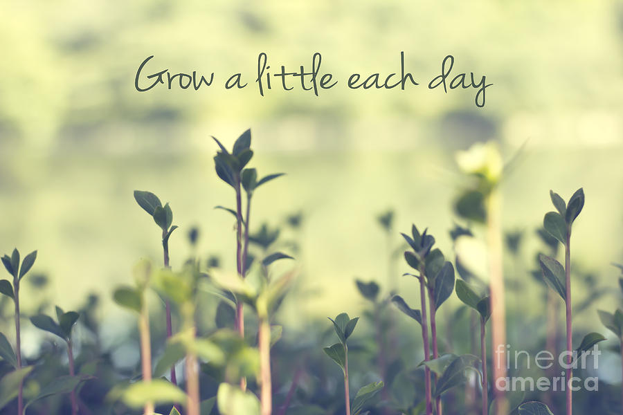 Grow A Little Each Day Inspirational Green Shoots and Leaves Photograph by Beverly Claire Kaiya