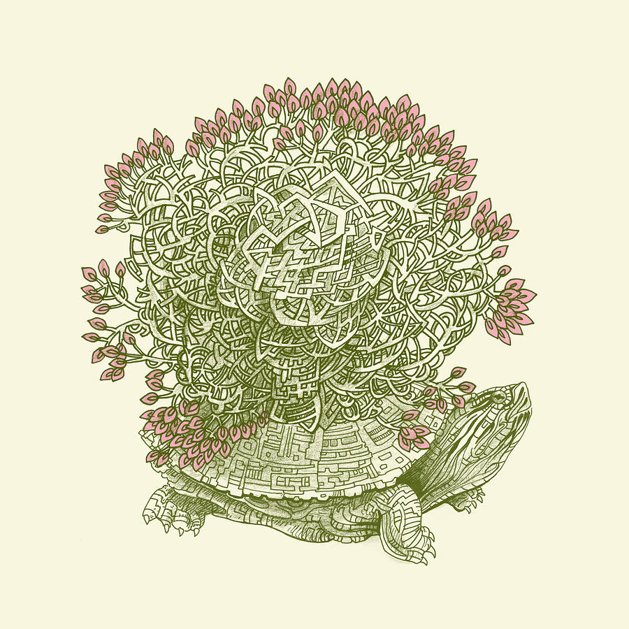 Turtle Drawing - Grow by Eric Fan