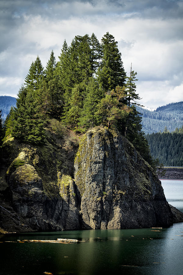 Growing from Rock Photograph by Belinda Greb