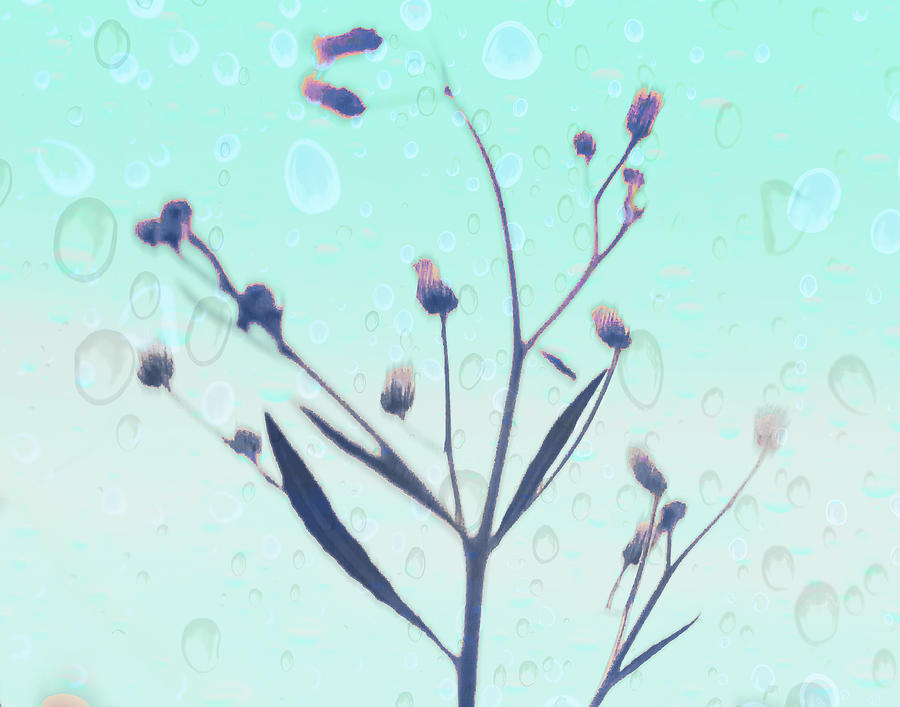 Growing Like Weeds Digital Art by Susan Stone