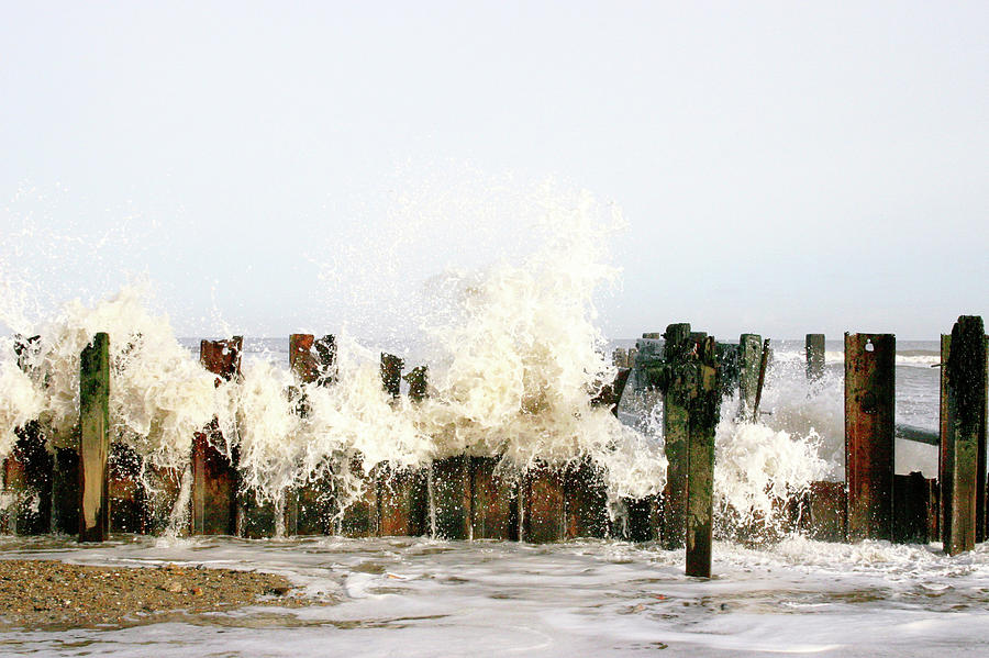 Groyne Remains Photograph by Graeme Ewens/science Photo Library - Fine ...