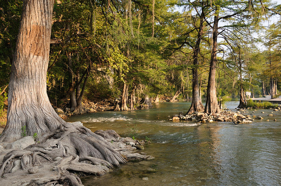 Gruene River Photograph By Mike Roach - Fine Art America