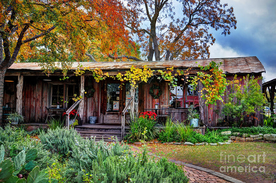 Fall Photograph - Gruene Texas by Savannah Gibbs