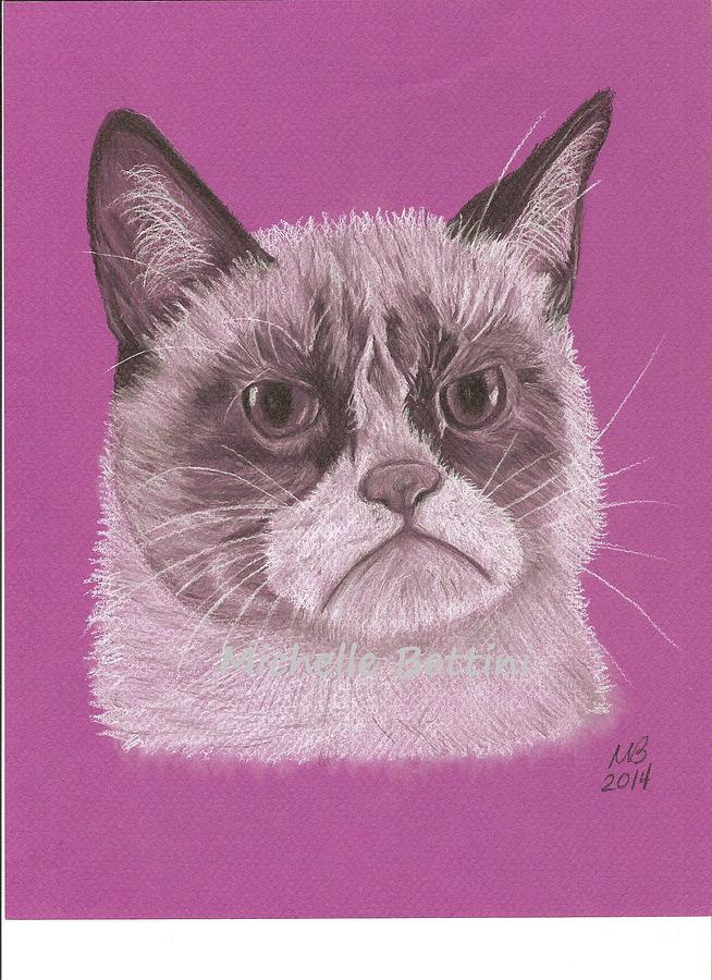 Grumpy Cat Drawing by Michelle Bettini