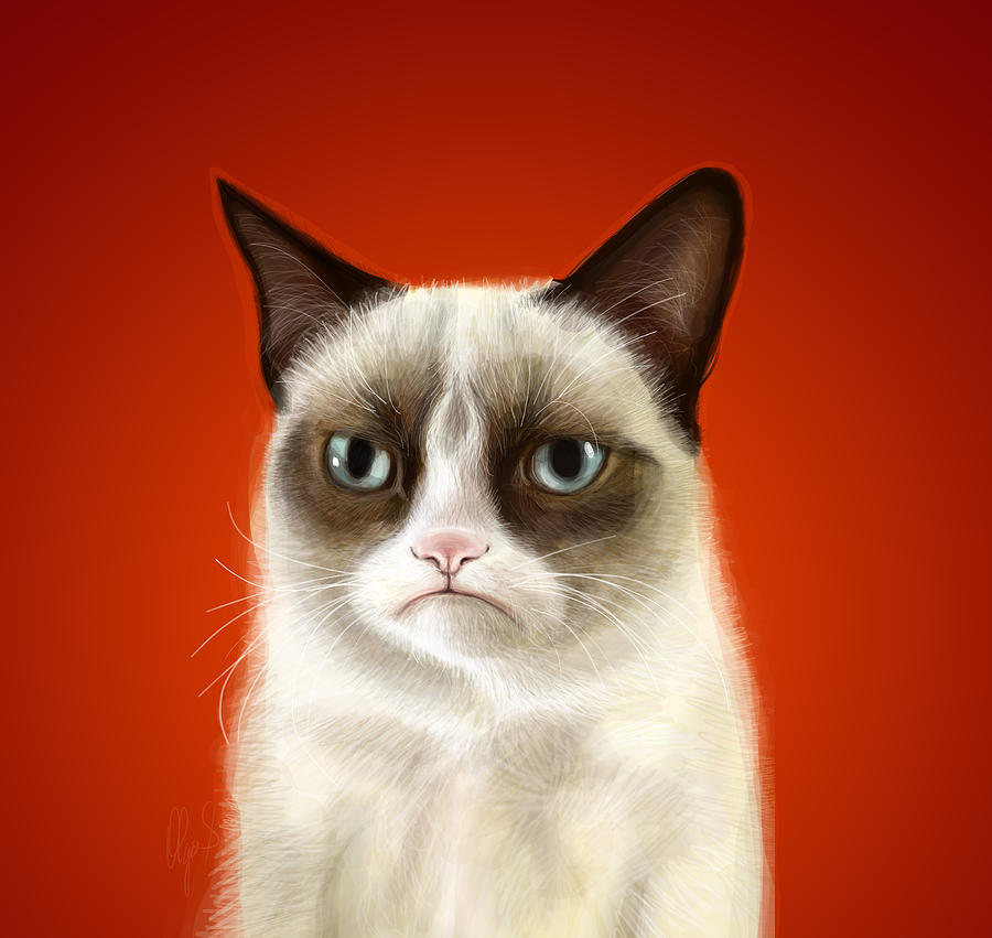 Grumpy Digital Art - Grumpy Cat by Olga Shvartsur