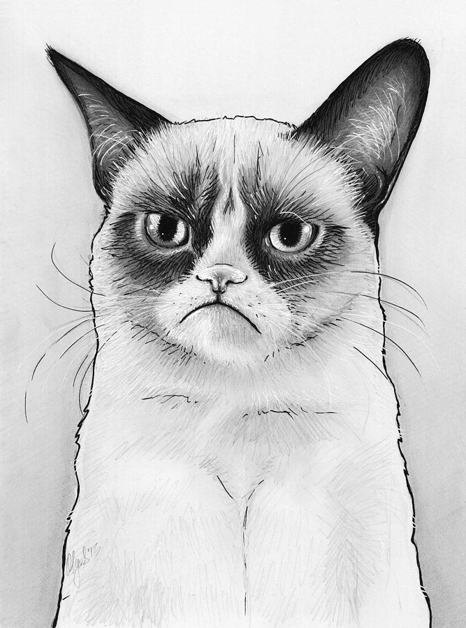 Grumpy Cat Portrait Drawing by Olga Shvartsur