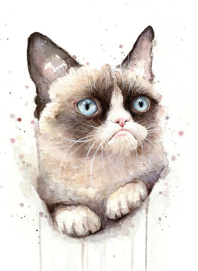 Cat Painting - Grumpy Cat Watercolor by Olga Shvartsur