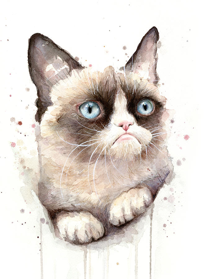 Grumpy Cat Watercolor Painting by Olga Shvartsur