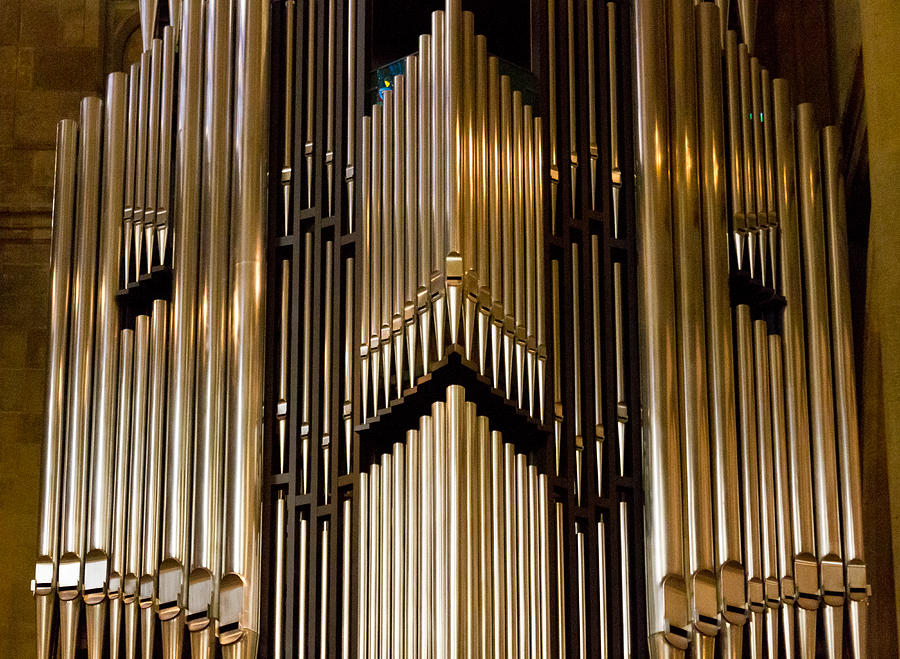 Grumpy organ Photograph by Jenny Setchell