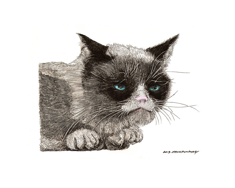 Whats NEW  PUSSY CAT Drawing by Jack Pumphrey