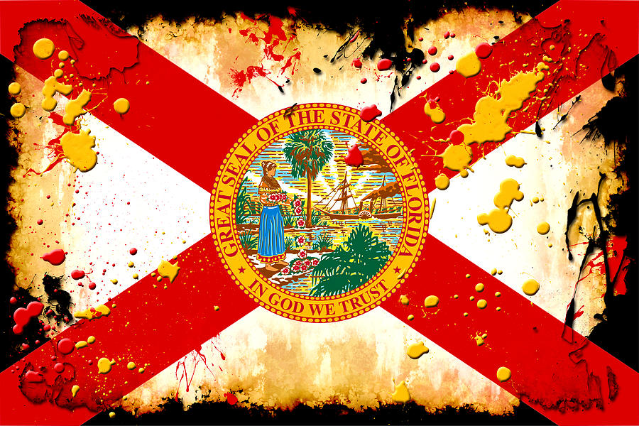 Grunge and Splatter Florida Flag Digital Art by David G Paul