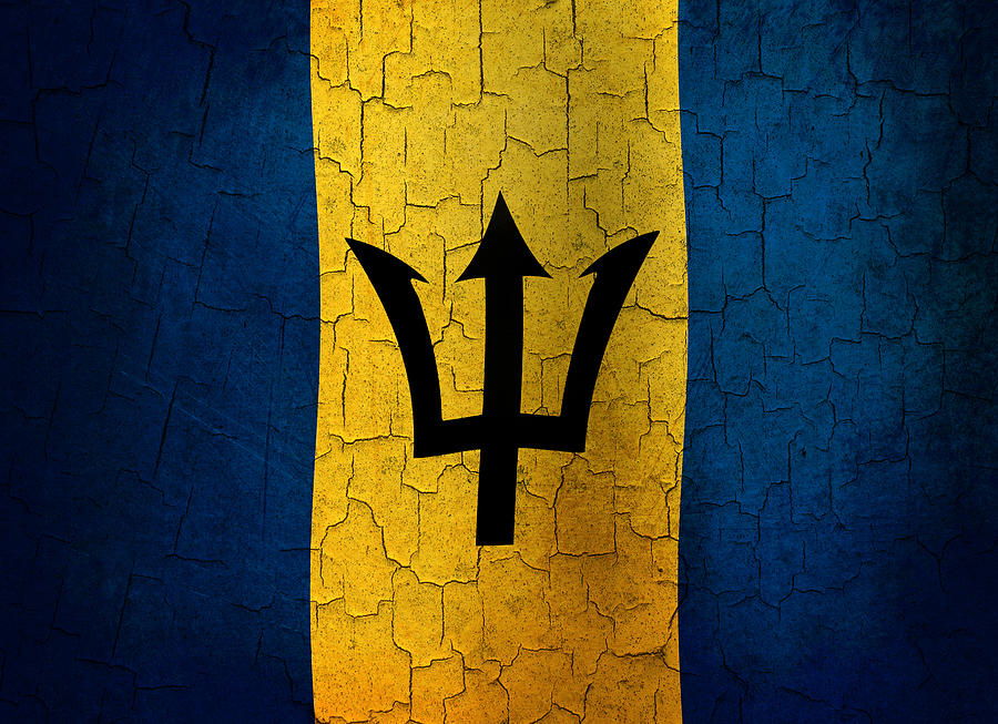 Grunge Barbados Flag Digital Art