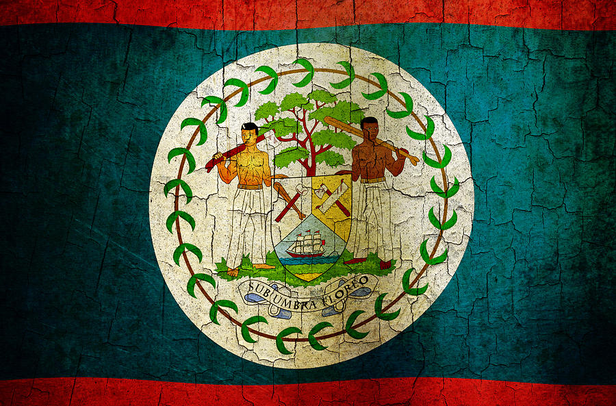 Grunge Belize flag  Digital Art by Steve Ball