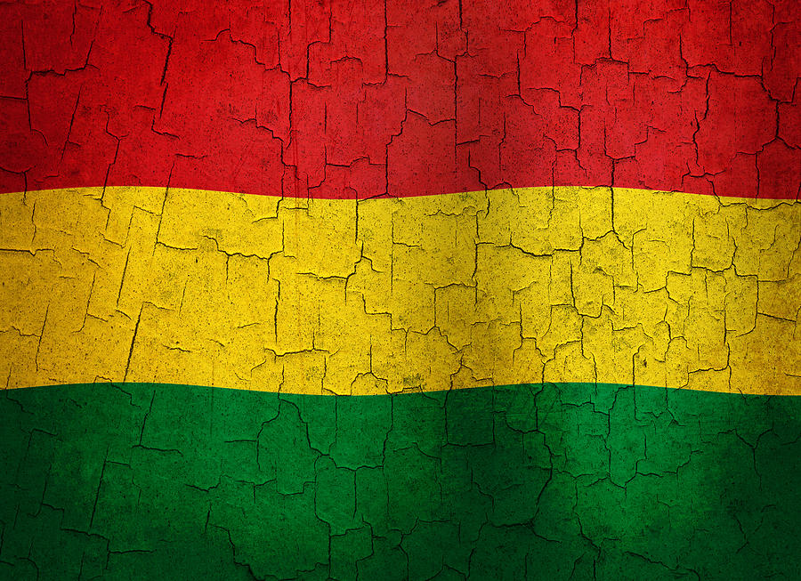 Grunge Bolivia flag Digital Art by Steve Ball
