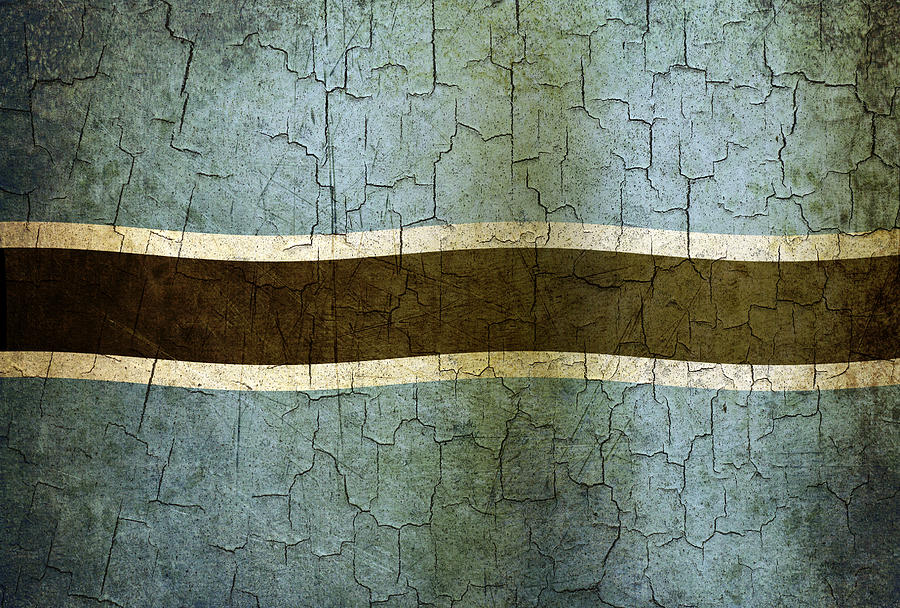 Grunge Botswana flag Digital Art by Steve Ball
