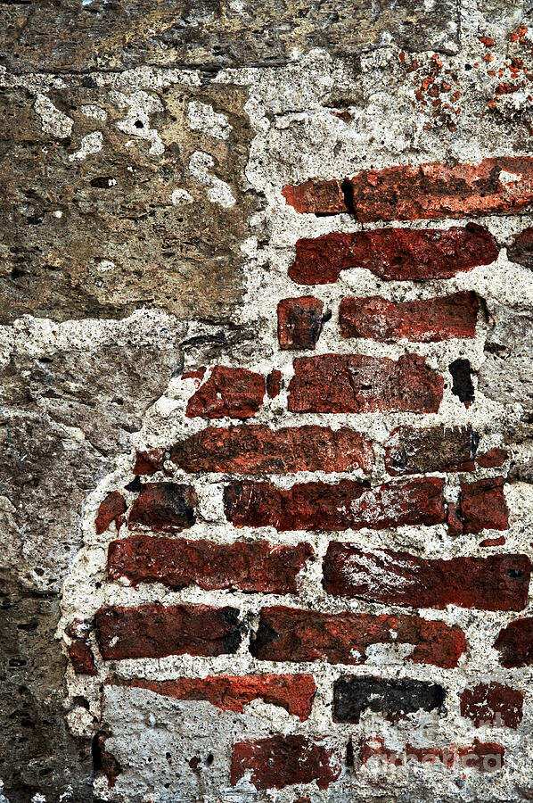 Brick Photograph - Grunge brick wall by Elena Elisseeva
