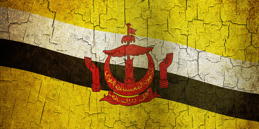 Grunge Brunei Flag Digital Art