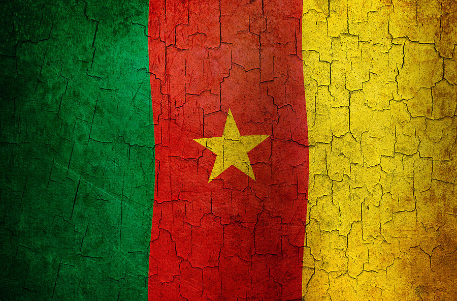 Grunge Cameroon flag Digital Art by Steve Ball